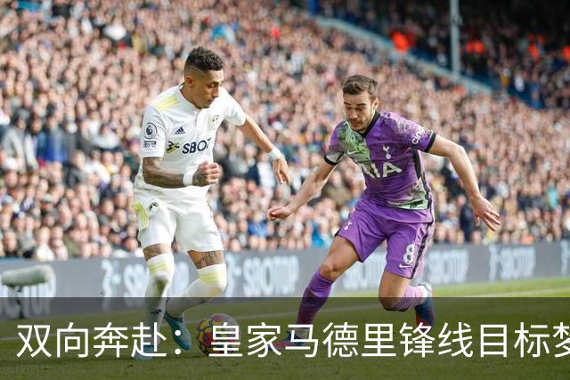 双向奔赴：皇家马德里锋线目标梦想转会西甲
