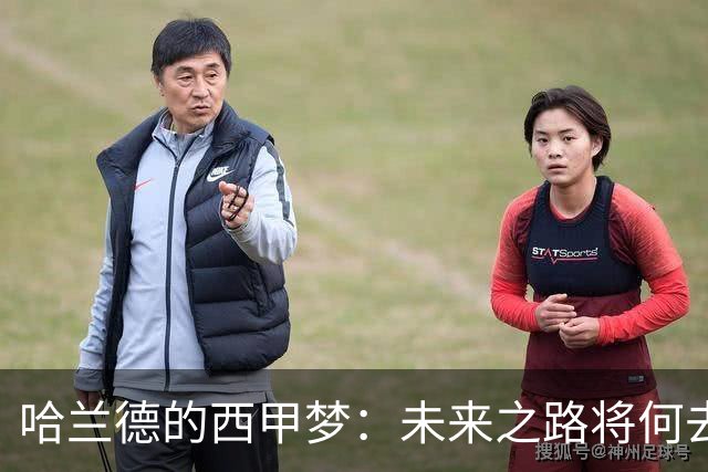 哈兰德的西甲梦：未来之路将何去何从？