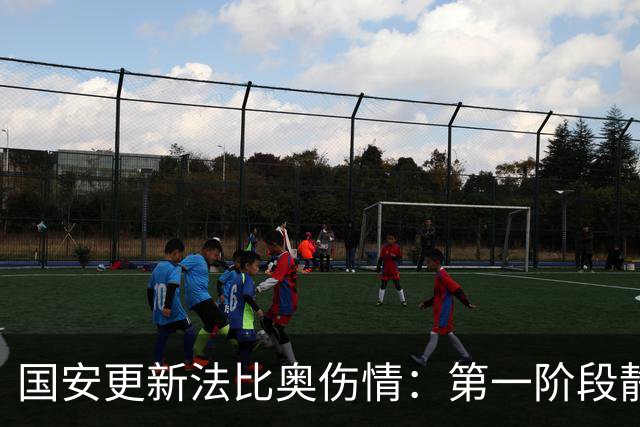 国安更新法比奥伤情：第一阶段静养康复 球员今晚启程返欧