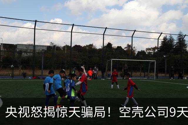 央视怒揭惊天骗局！空壳公司9天卷走1.2亿，人早已跑得无影无踪！